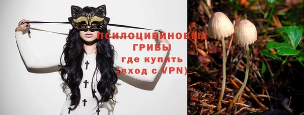 твердый Армянск