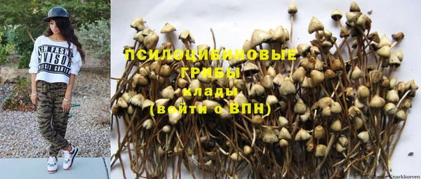 амф Аркадак