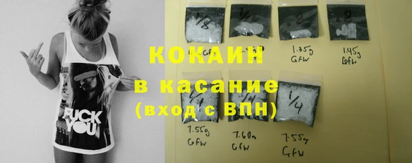 стафф Арсеньев