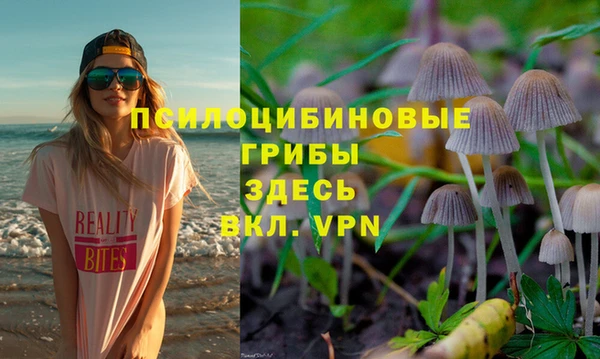 стафф Арсеньев