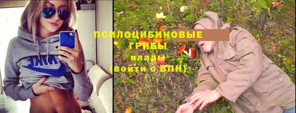 твердый Армянск