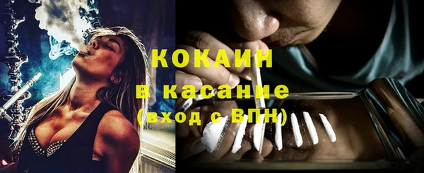 стафф Арсеньев
