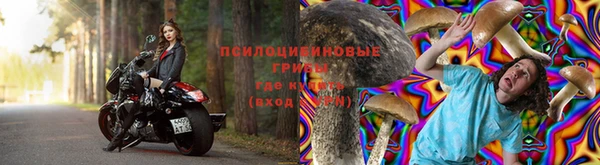 амф Аркадак